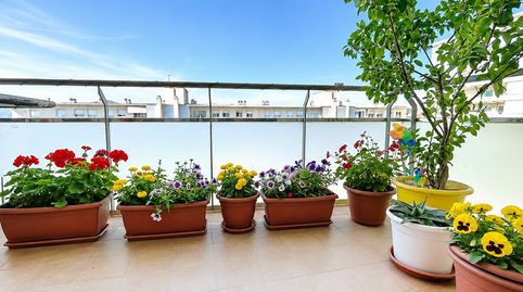 Foto 3 de Piso en venta en Ample, Molí de Vent - La Sauleda, Palafrugell