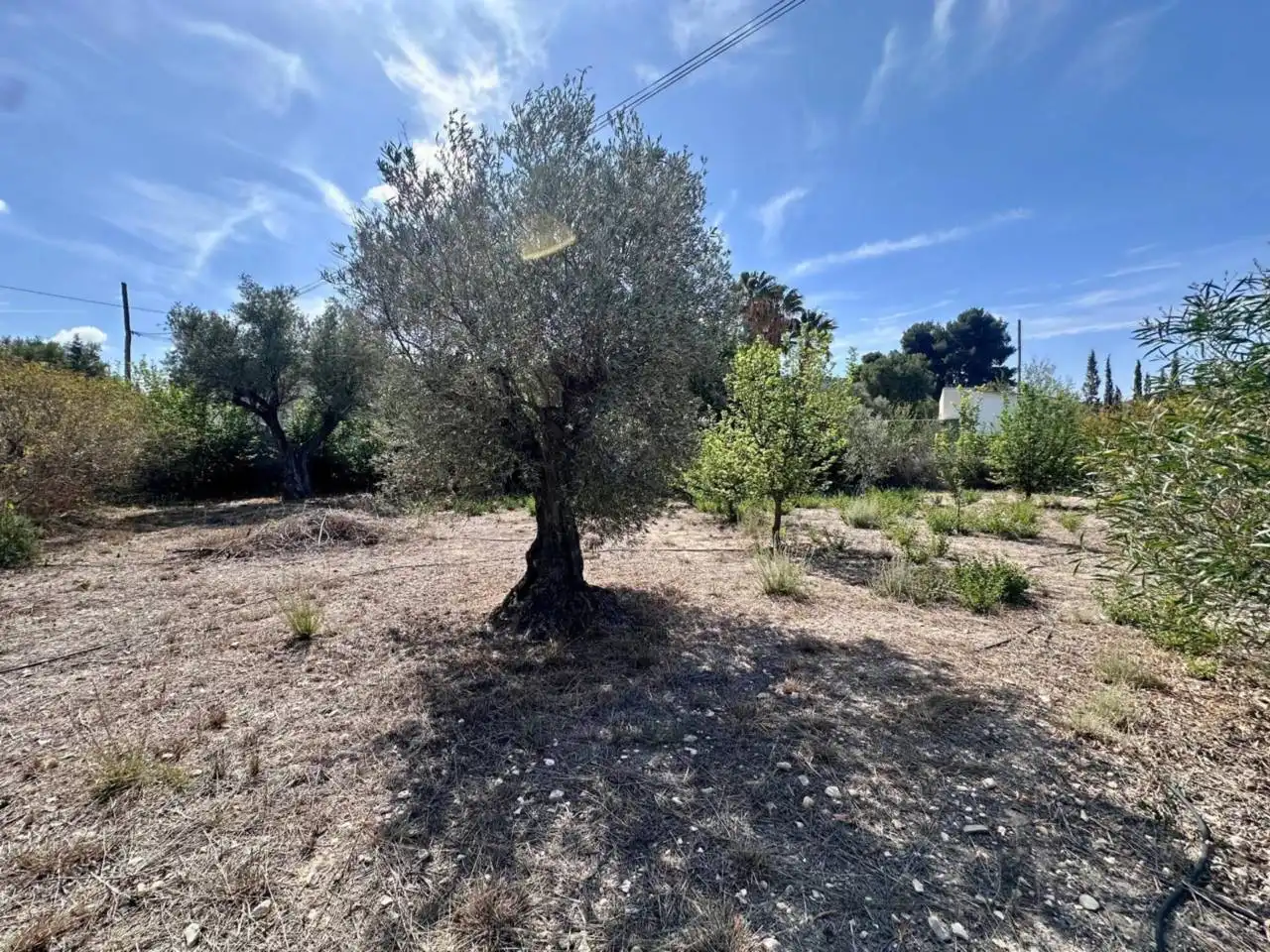 Finca rústica en venda a Poligono melik alto, Campo Alto - Club de Campo