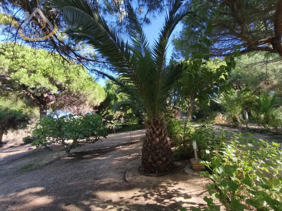 Garten von Grundstücke zum Verkauf in Isla Cristina
