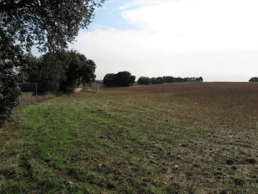 Casa o chalet en venta en Diseminados Camino Casa Roque, 294, La Dehesa - El Pinar