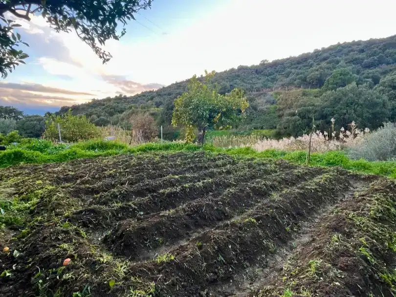 Finca rústica en venta en Altos de Estepona