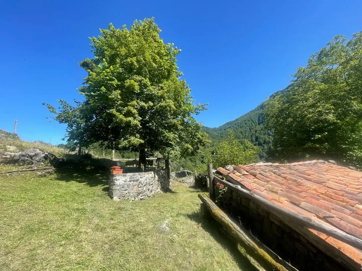 Garden of Houses for sale in Ponga