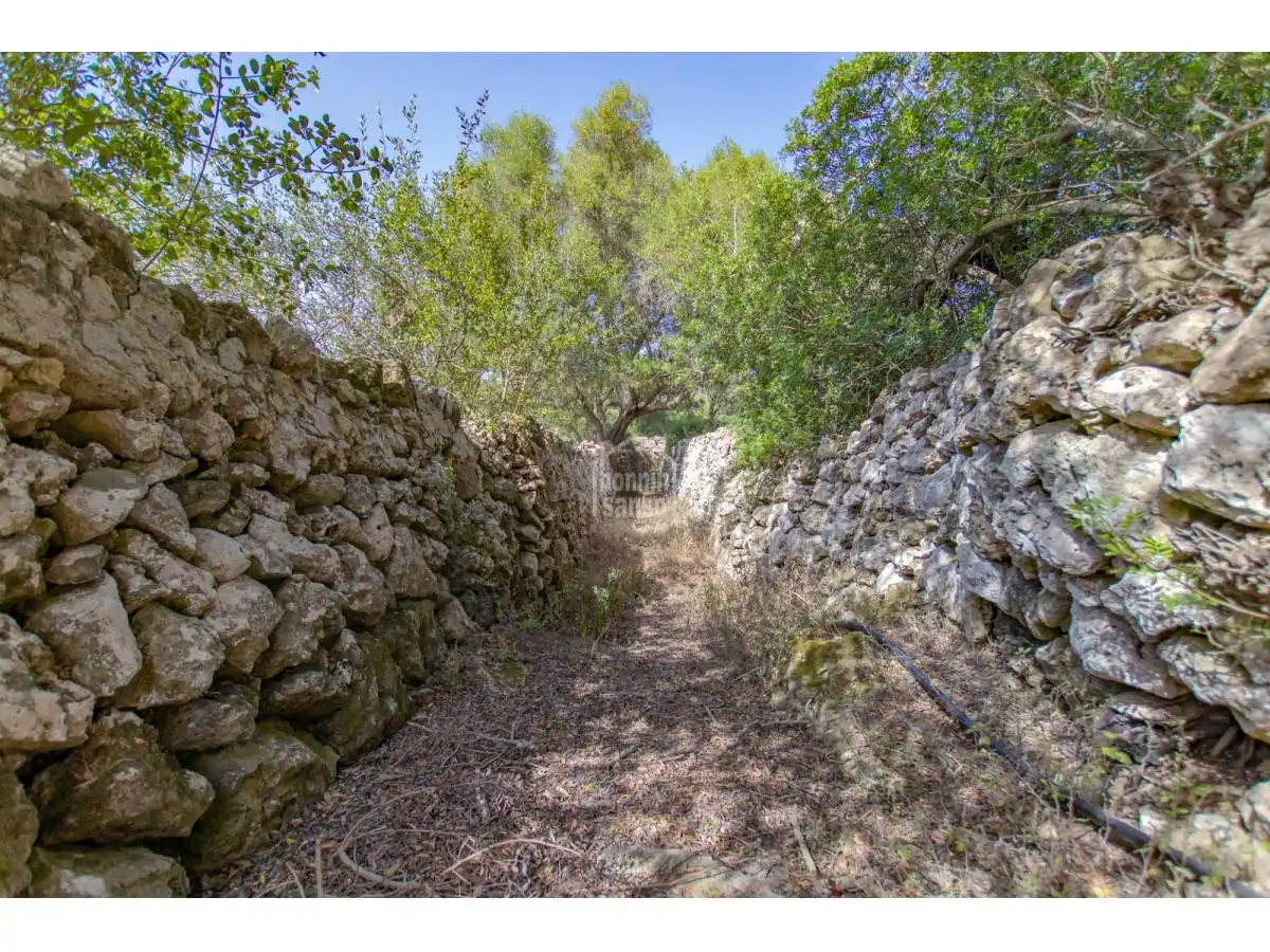 Detached house with pool for sale in Alaior poble, imagen 54