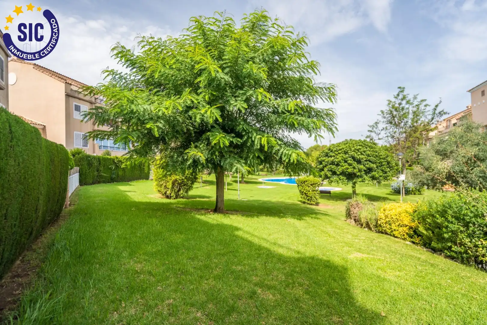 Flat with pool for sale in Calle MILA REIAL, imagen 44