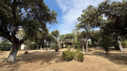 Foto 5 de Casa o xalet en venda a Urbanización Encinar de la Rad, Galindo y Perahuy, Salamanca