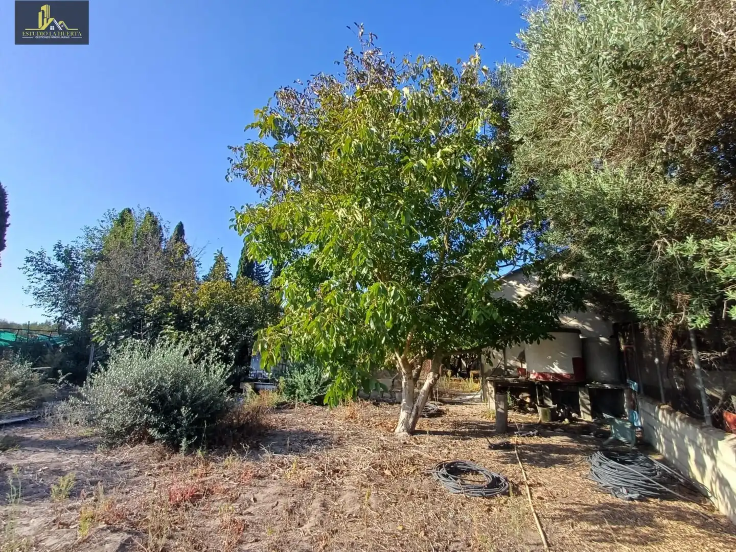 Finca rústica en venta en Jerez de la Frontera