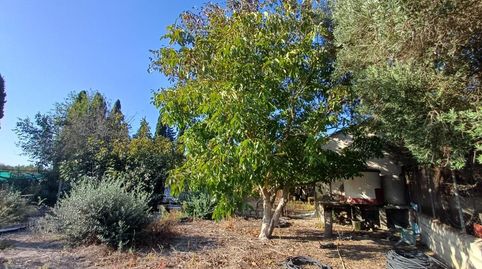 Foto 4 de Finca rústica en venta en Parque Atlántico - Ronda este, Jerez de la Frontera