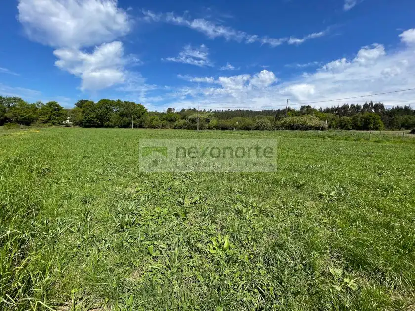 Terreni e lotti in vendita a Vilalba
