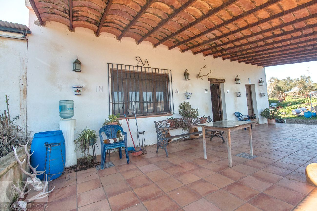 Terrace of Country house for sale in Trigueros