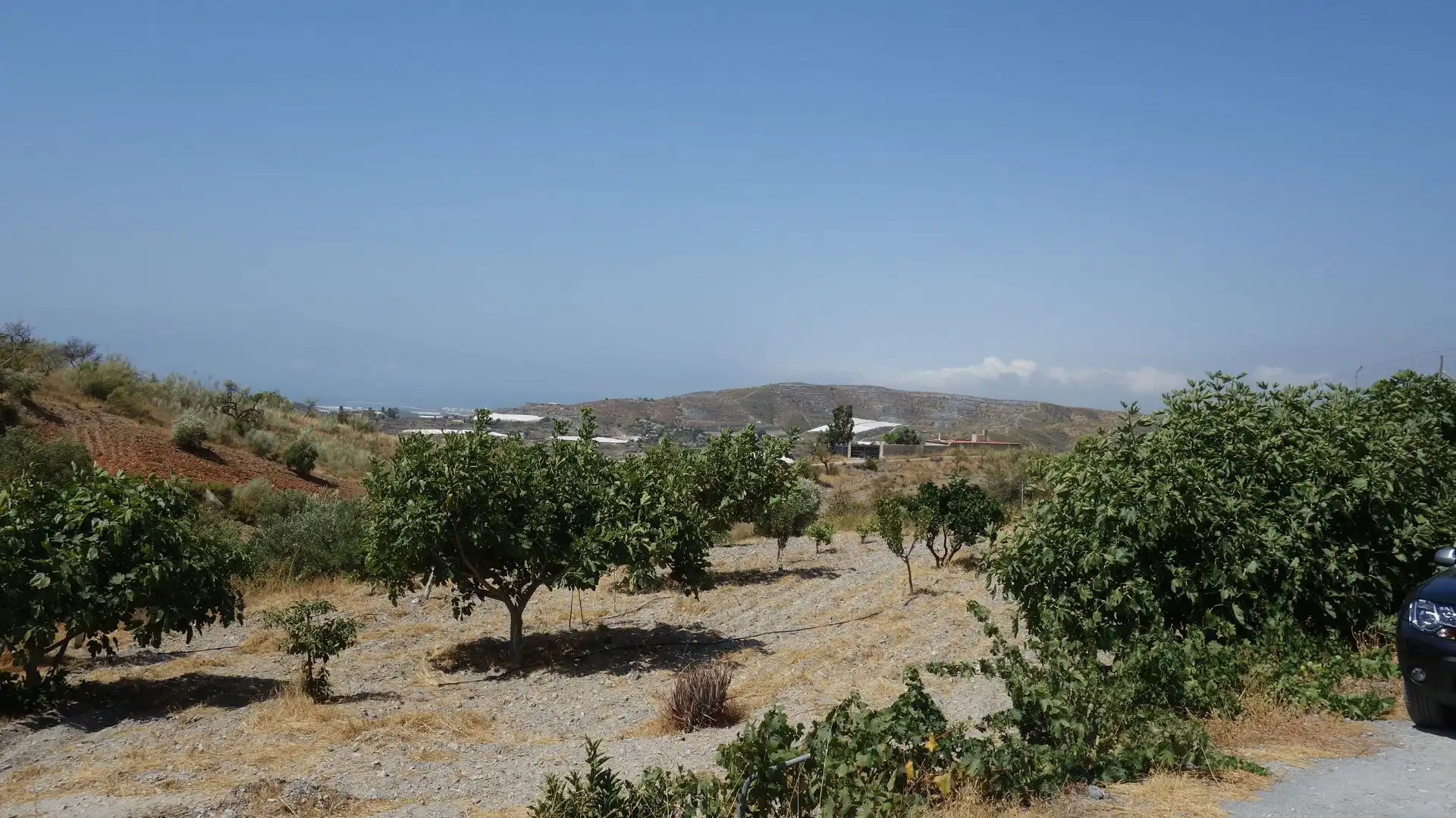 Finca rústica en venda en Motril amb Terrassa i Moblat