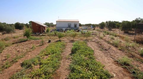 Photo 2 of House or chalet for sale in  Polígono 18 Paraje 83 Los Arenales, Montijo, Badajoz