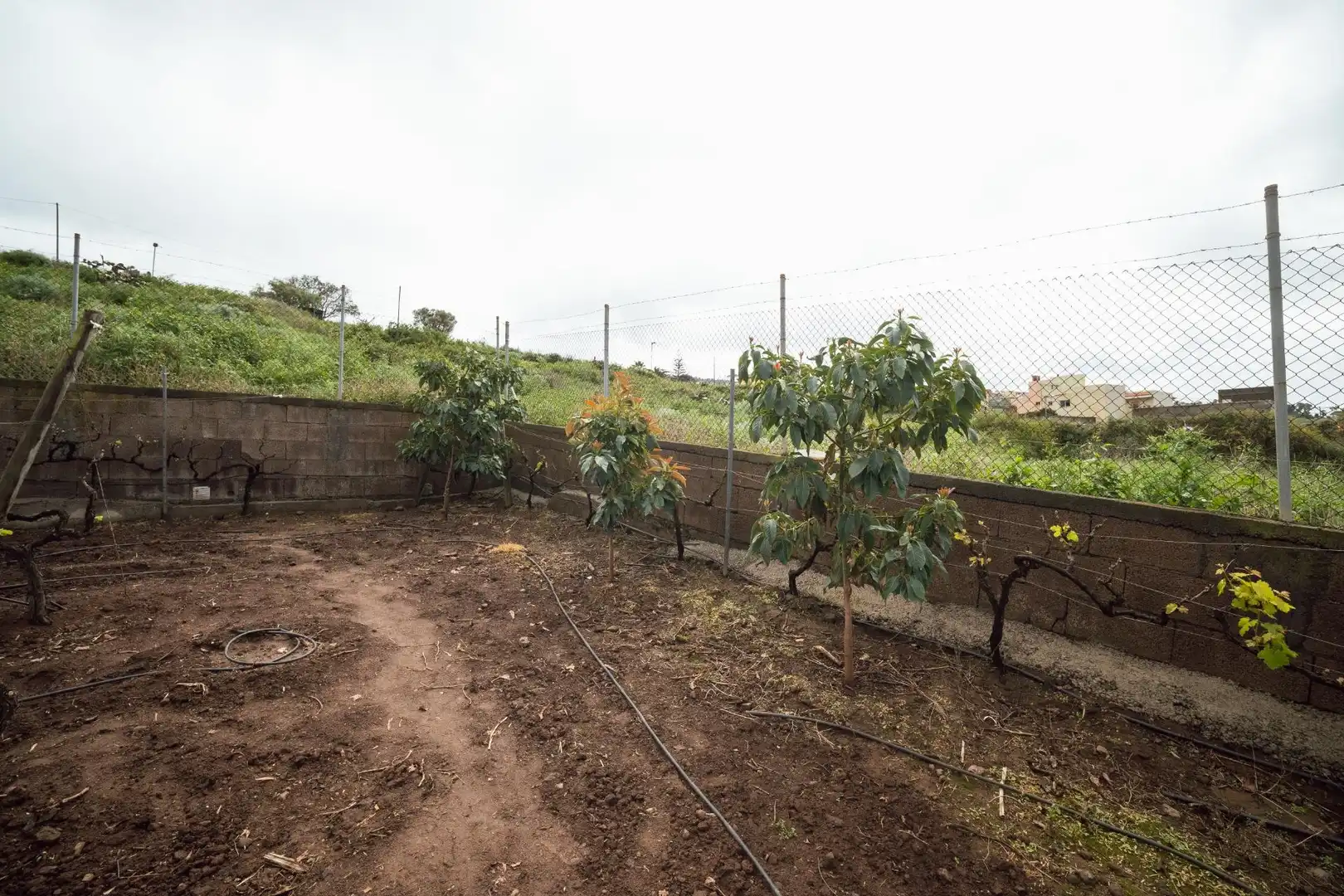 Finca rústica en venta en El Sauzal