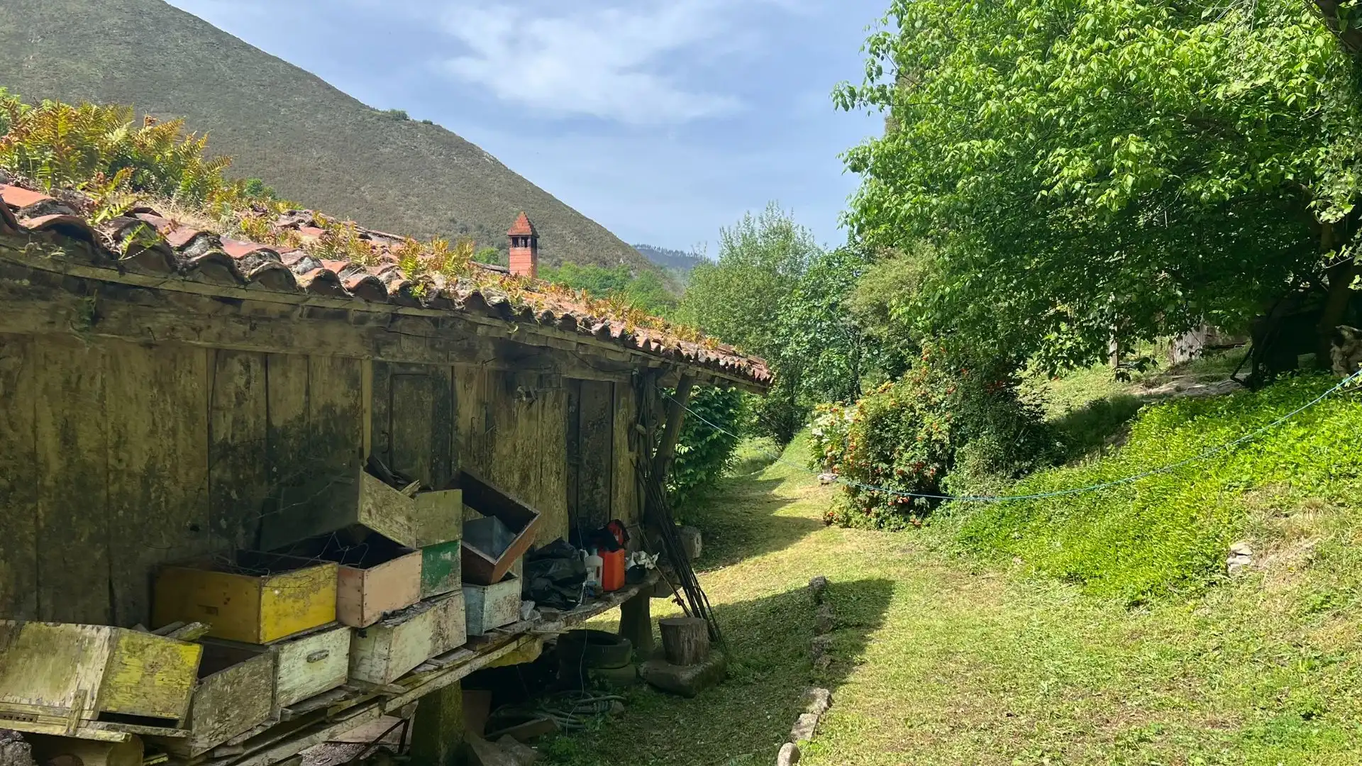 Vista exterior de Casa o xalet en venda en Cangas de Onís amb Jardí privat