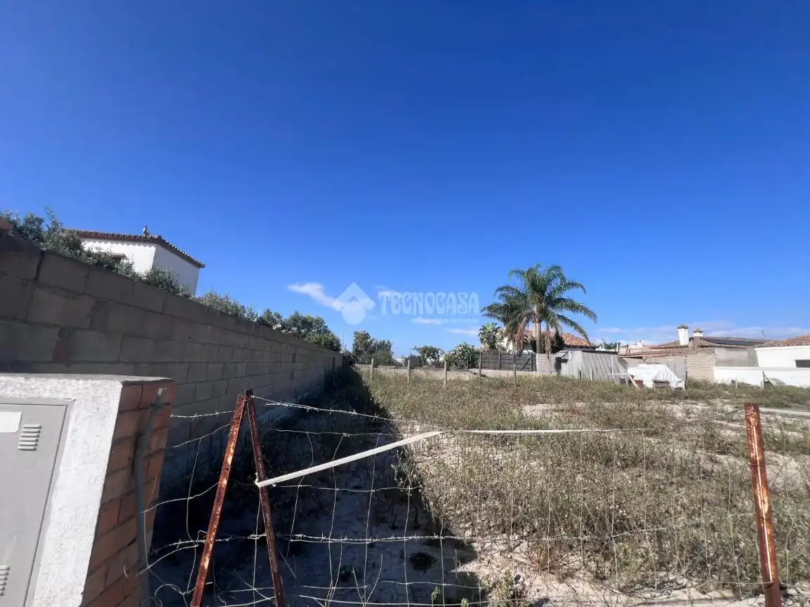 Rural land for sale in Conil, imagen 19