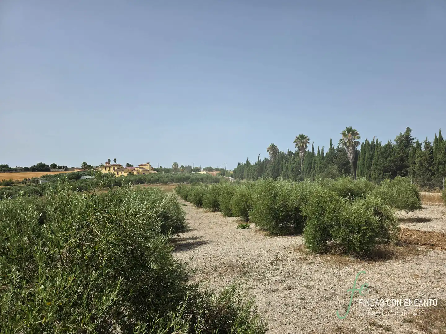 Casa rústica amb piscina en venda a Arcos de la Frontera, imagen 29