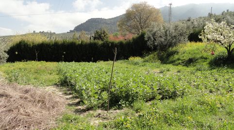 Foto 2 de Terreno en venta en La Iruela, Jaén