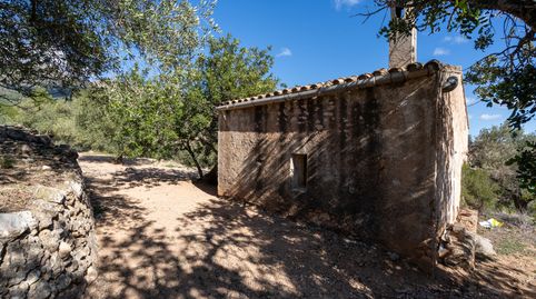 Gran finca rústica con varias edificaciones para reformar, immagine 5