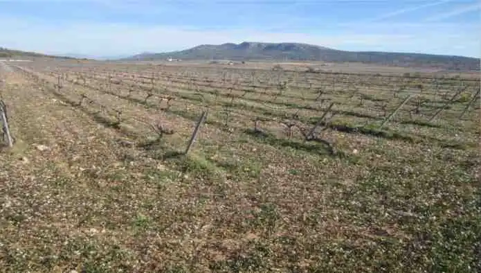 Rural land for sale in Pd Alciri, imagen 15