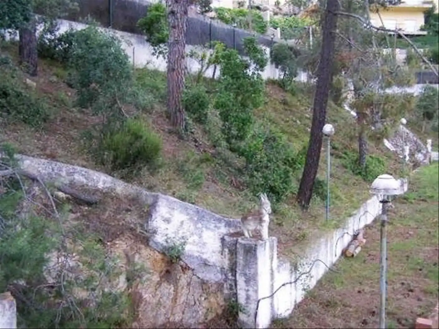 Wohnbaugrundstück zum Verkauf in Serra Brava, imagen 5