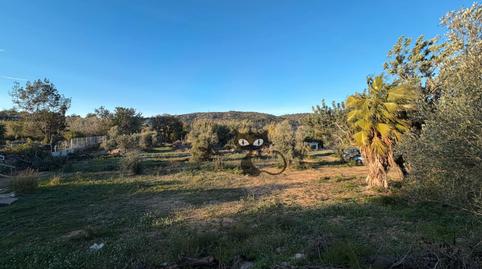 Photo 4 of Residential for sale in Calle Figuera, 12, Monte Real, Valencia