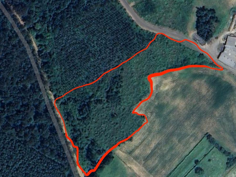 Land for sale in Touro