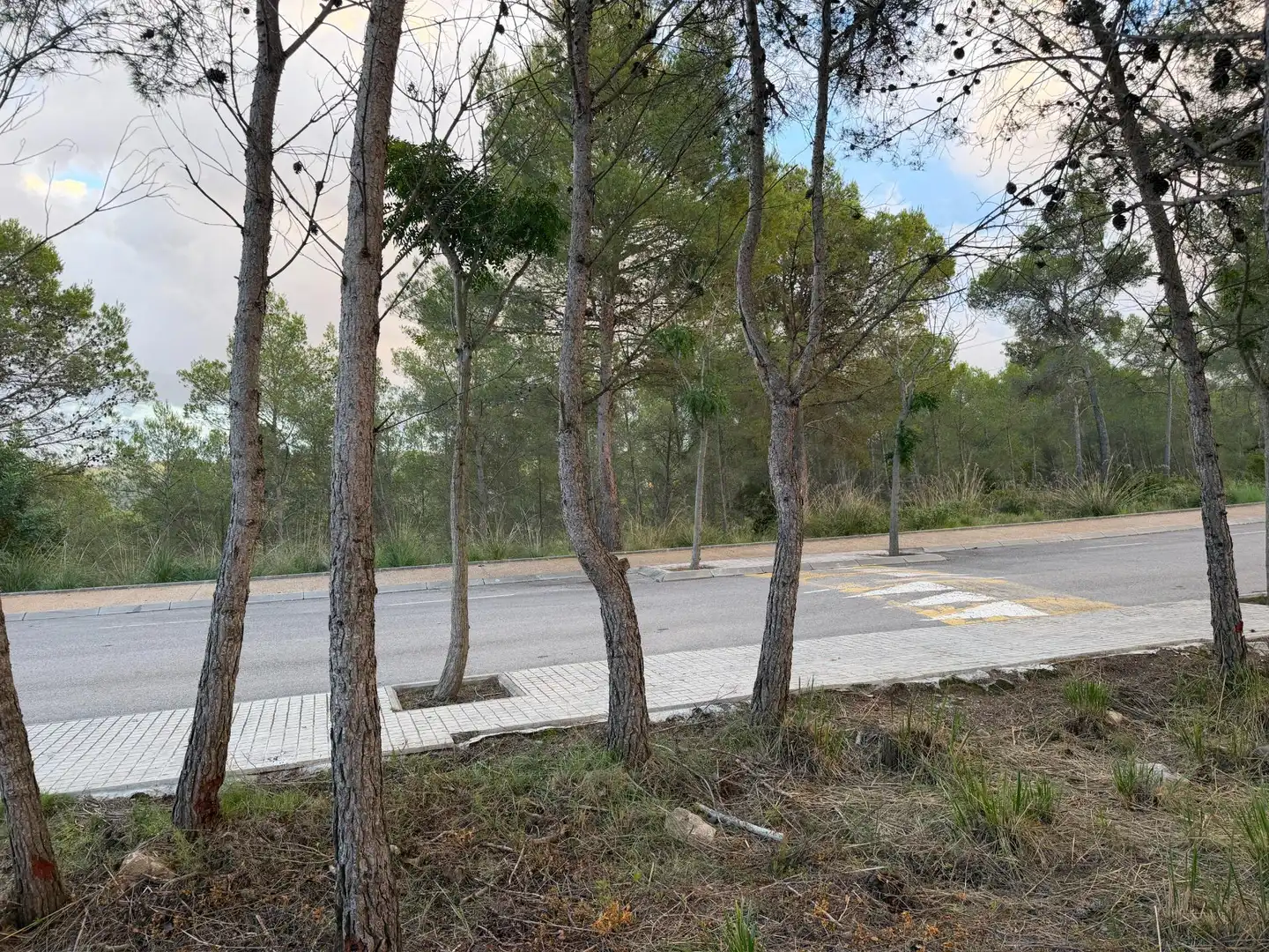 Residencial en venta en Sant Pere de Ribes