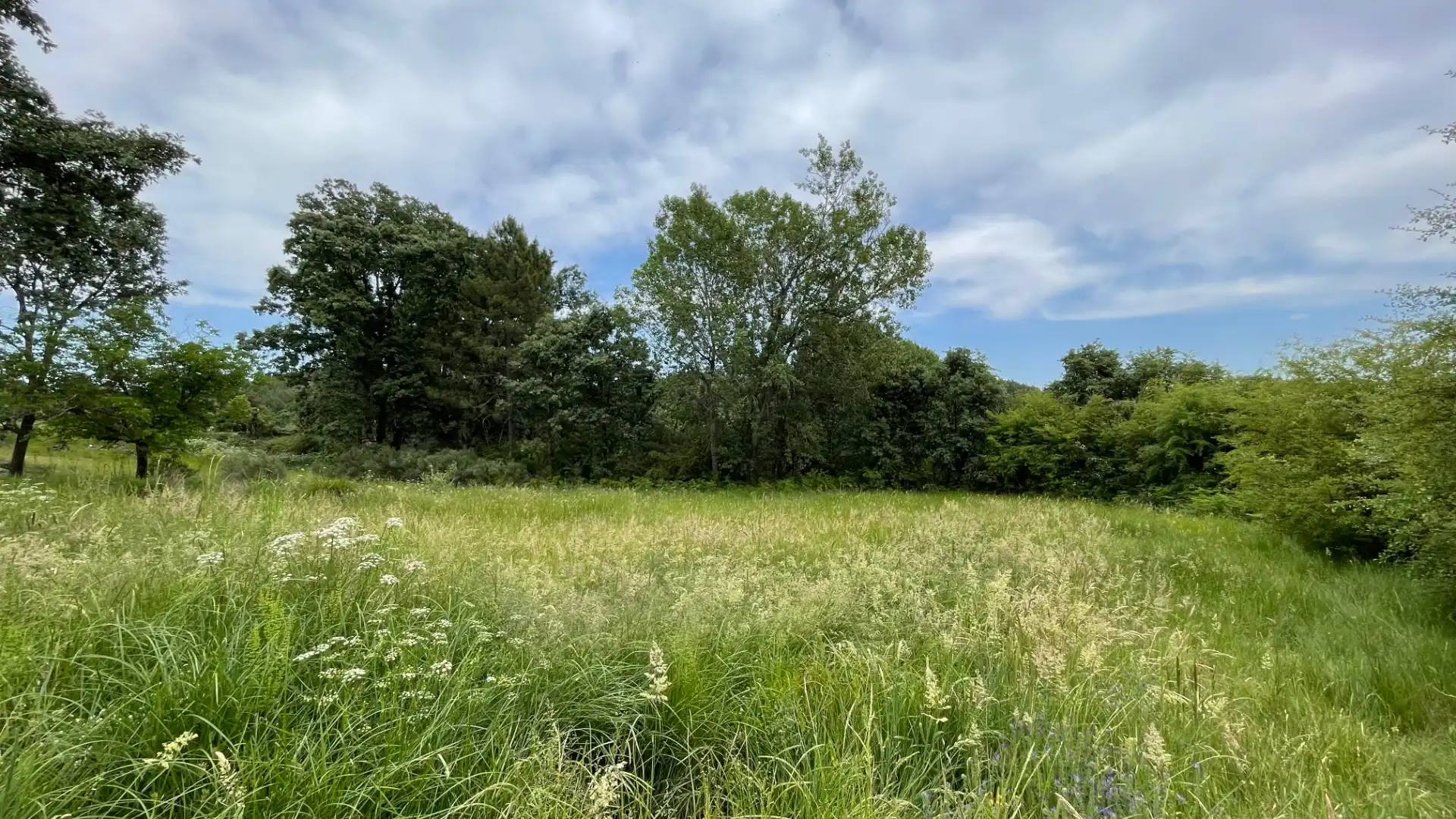 Grundstücke zum Verkauf in El Arenal 