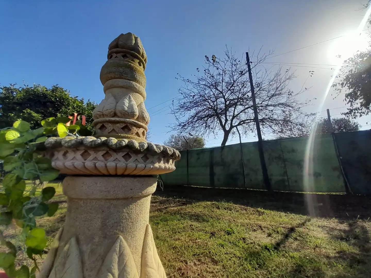 Jardín de Residencial en venta en Chipiona