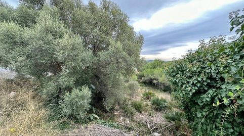 GRAN TERRENO CON VISTAS!!!, imagen 2