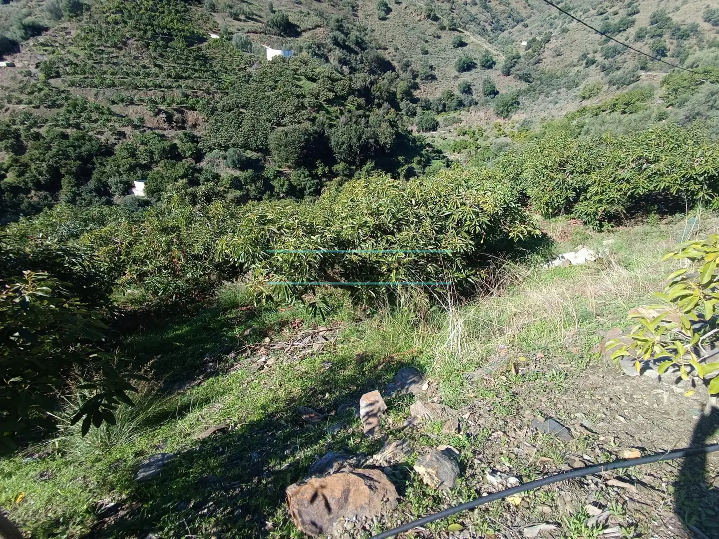 Terreny rústic en venda a Sayalonga, imagen 15