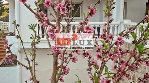 Photo 3 of House or chalet for sale in Cabrils, Barcelona