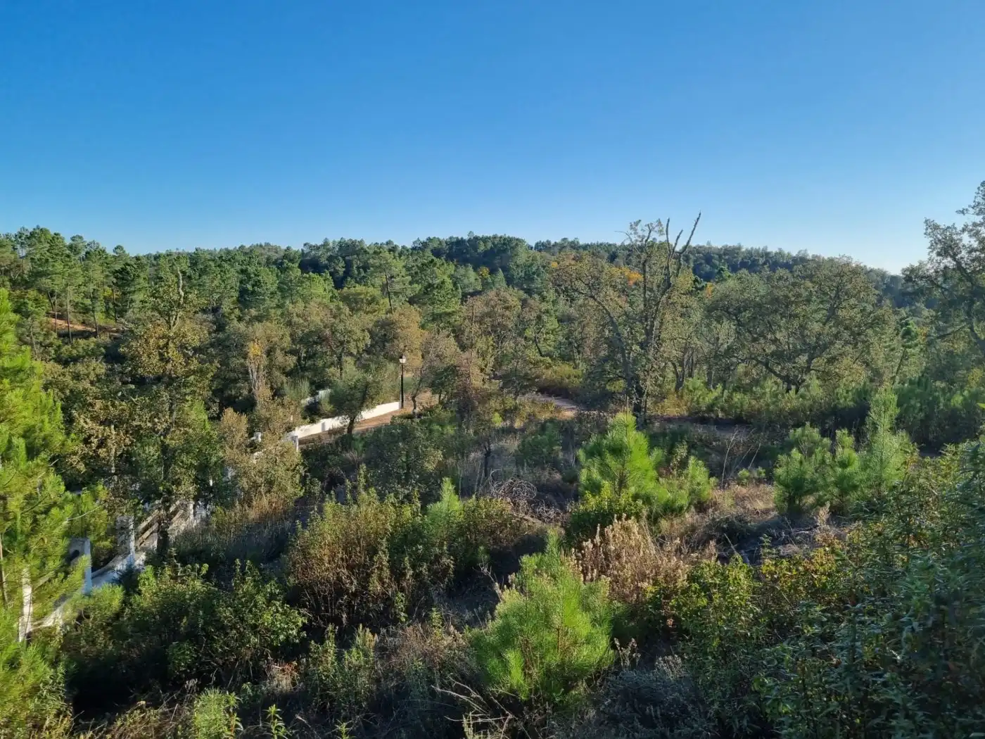 Casa o chalet en venta en Valdelarco