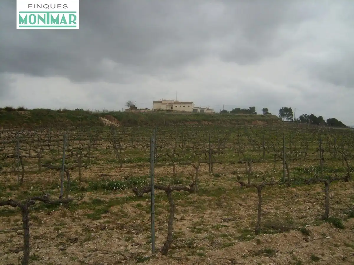 Country homes for sale in Sant Jaume dels Domenys  with Private garden and Storage room