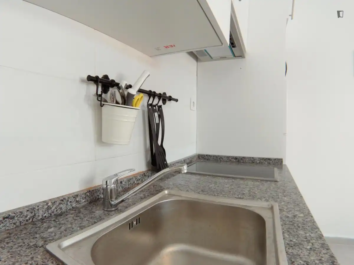 Estudio de alquiler en Pradolongo