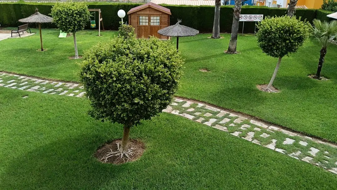 Jardín de Apartamento en venta en Xeraco con Terraza, Trastero y Amueblado
