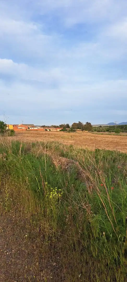 Land for sale in El Puente del Arzobispo