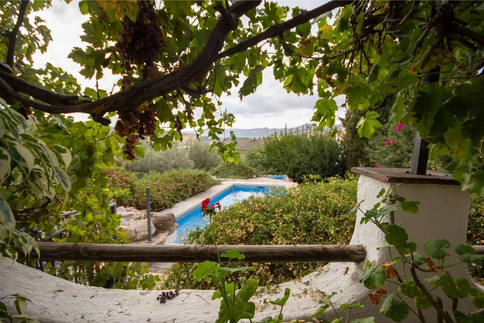 Garden of Houses for sale in Periana  with Air Conditioner, Private garden and Terrace