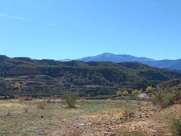 Wohnbaugrundstück zum Verkauf in Beas de Guadix