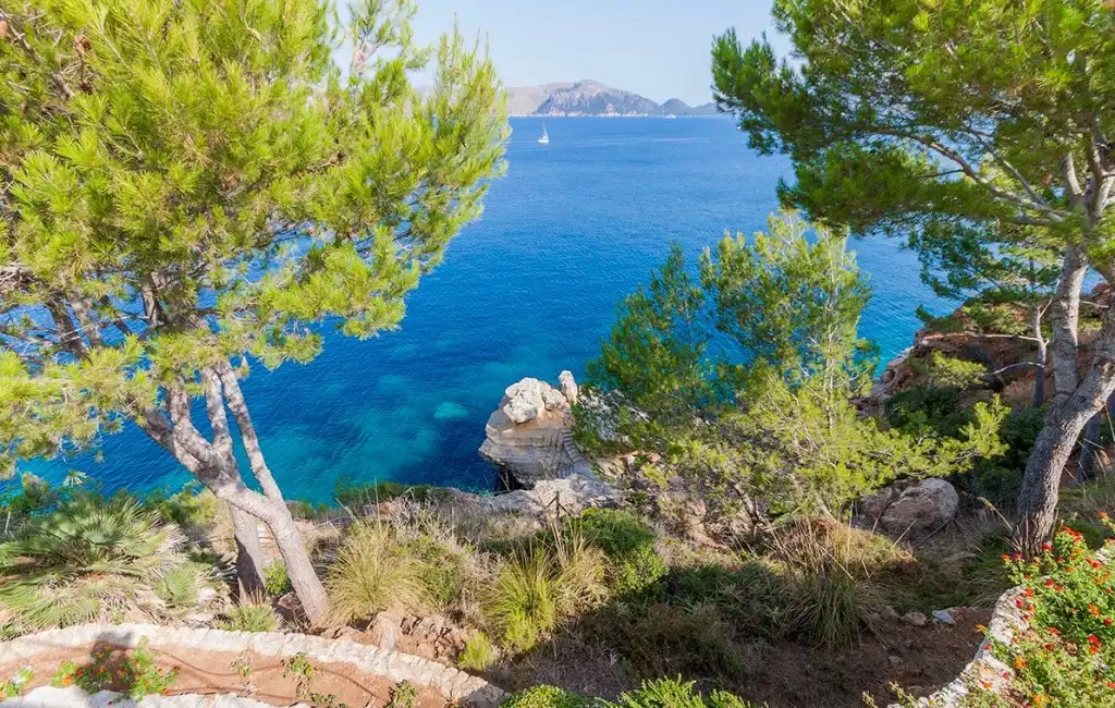 Jardín de Casa o chalet en venta en Alcúdia con Aire acondicionado, Jardín privado y Terraza