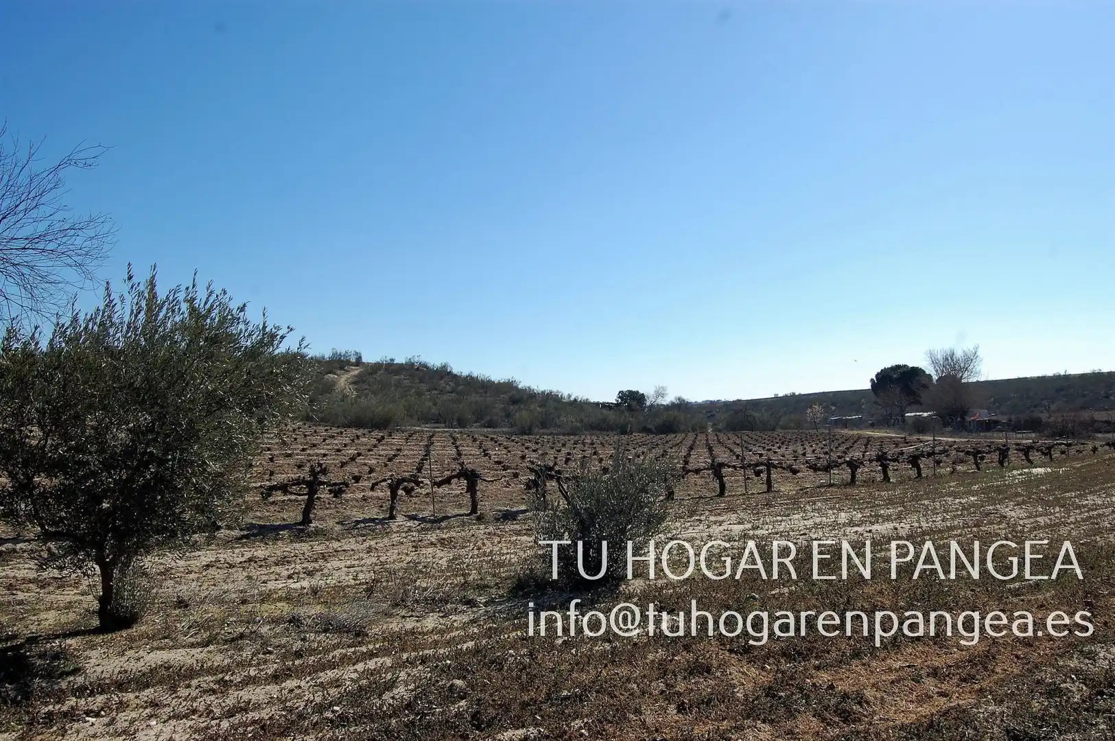 Rural land for sale in El Álamo, imagen 10