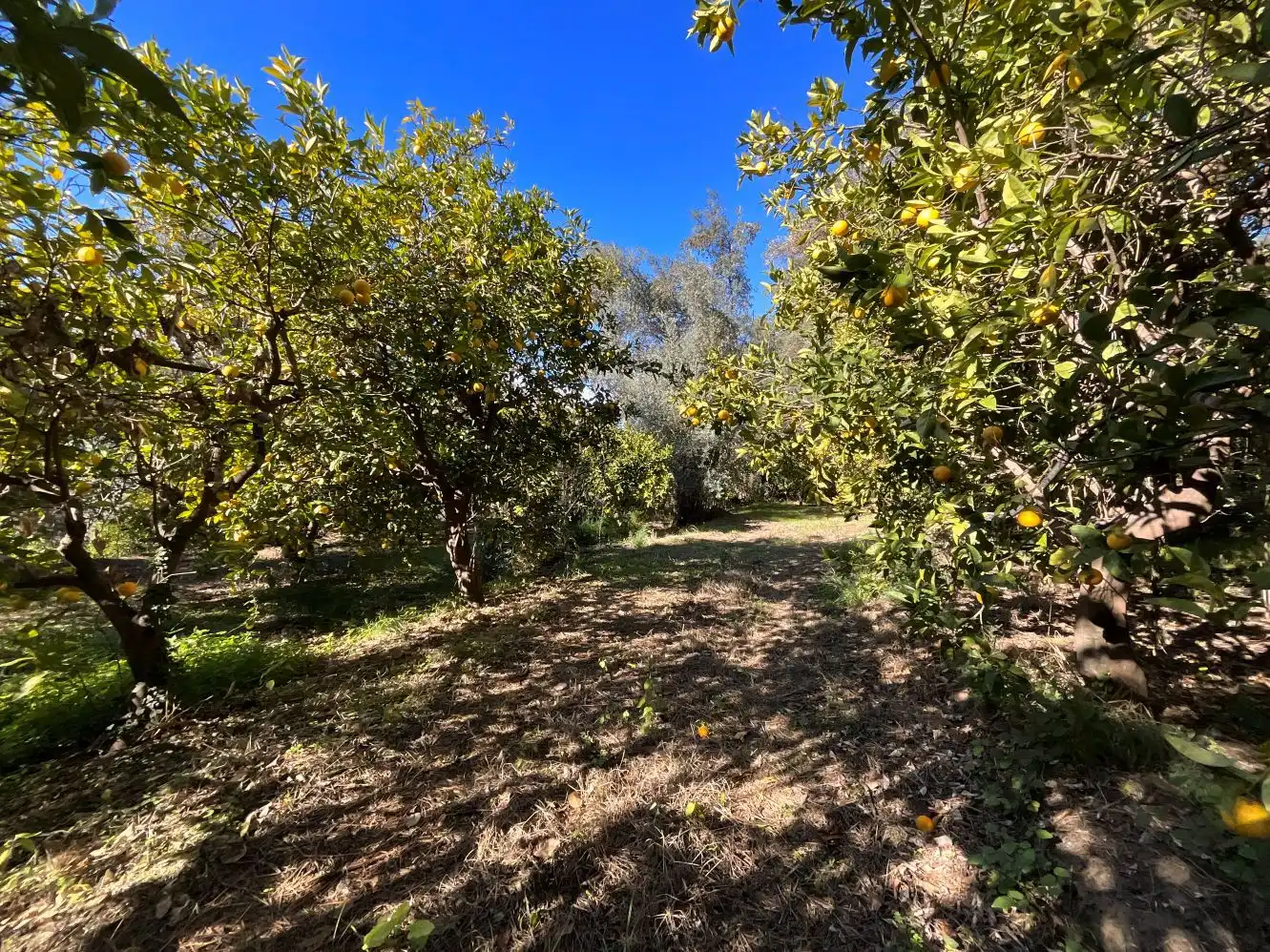 Terreni e lotti in vendita a Lecrín, imagen 15