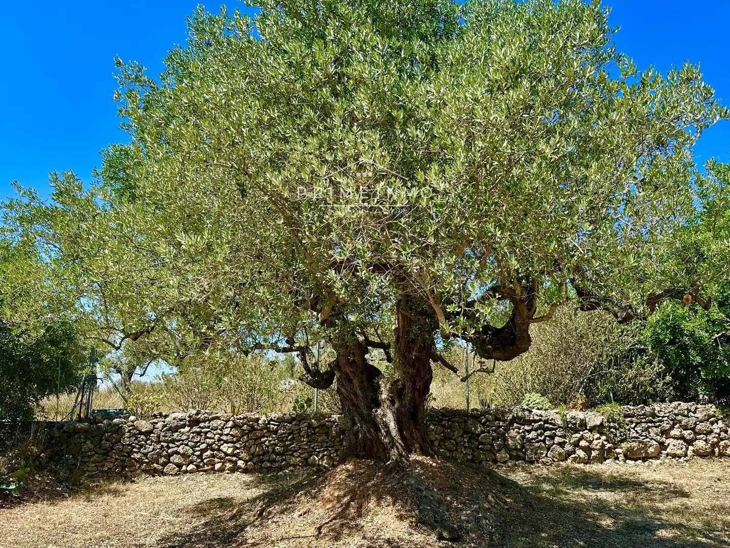 Jardín de Finca rústica en venta en L'Ampolla con Aire acondicionado, Calefacción y Terraza