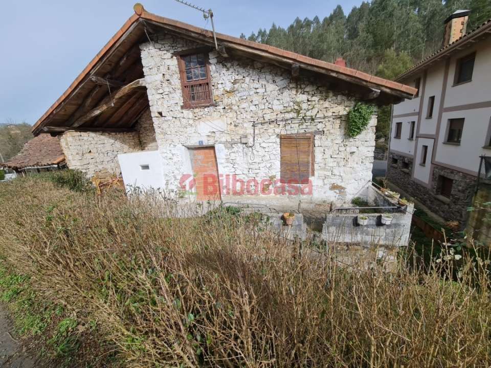 Country house for sale in Zeberio