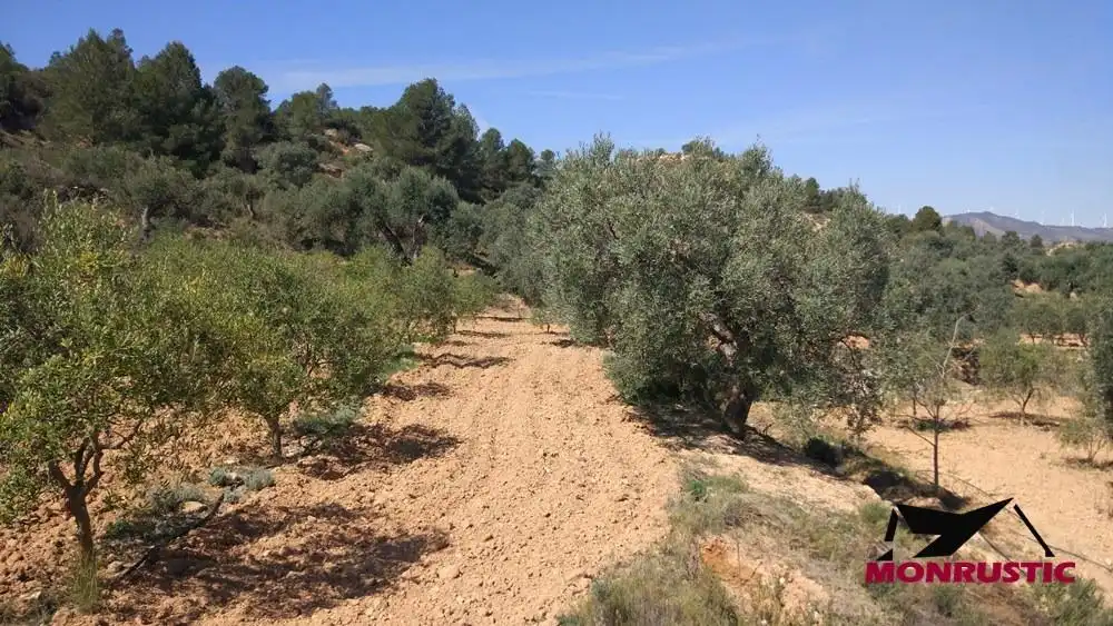 Terrain rustique à vendre à Riba-roja d'Ebre, imagen 8