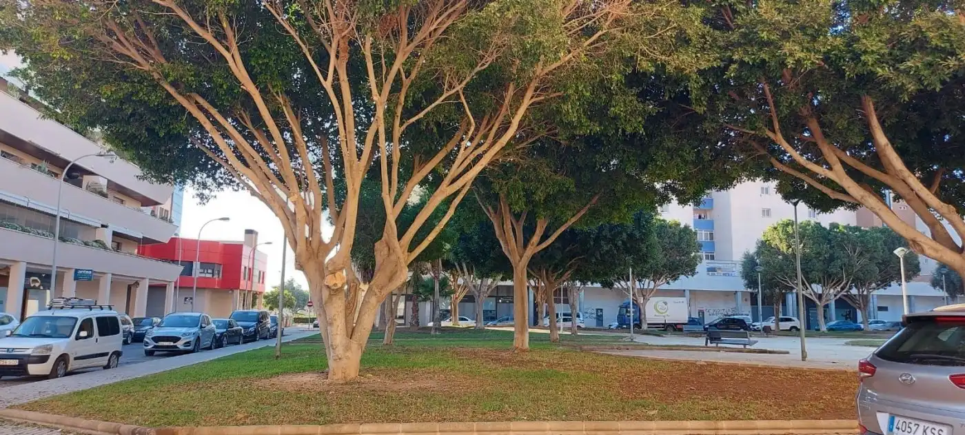 Commercial properties for rent in Las Norias