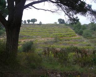 Land for sale in Blanes