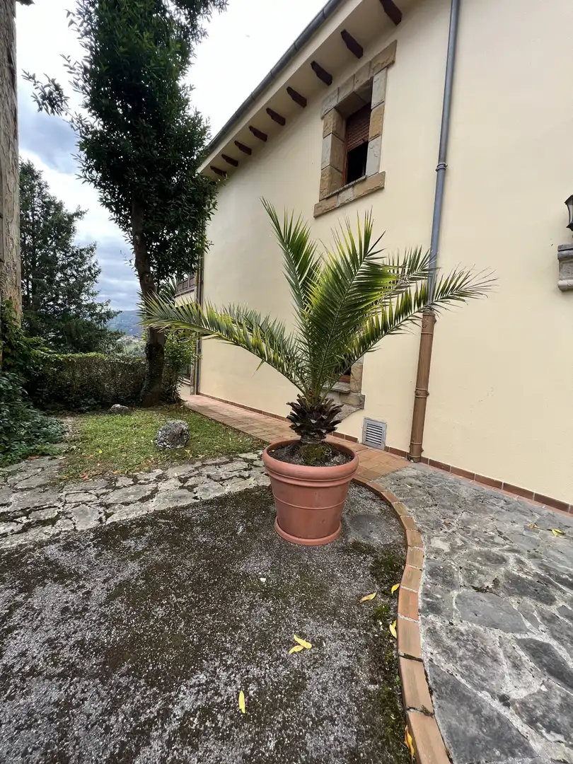 Jardín de Casa o chalet en venta en Piloña con Calefacción y Jardín privado