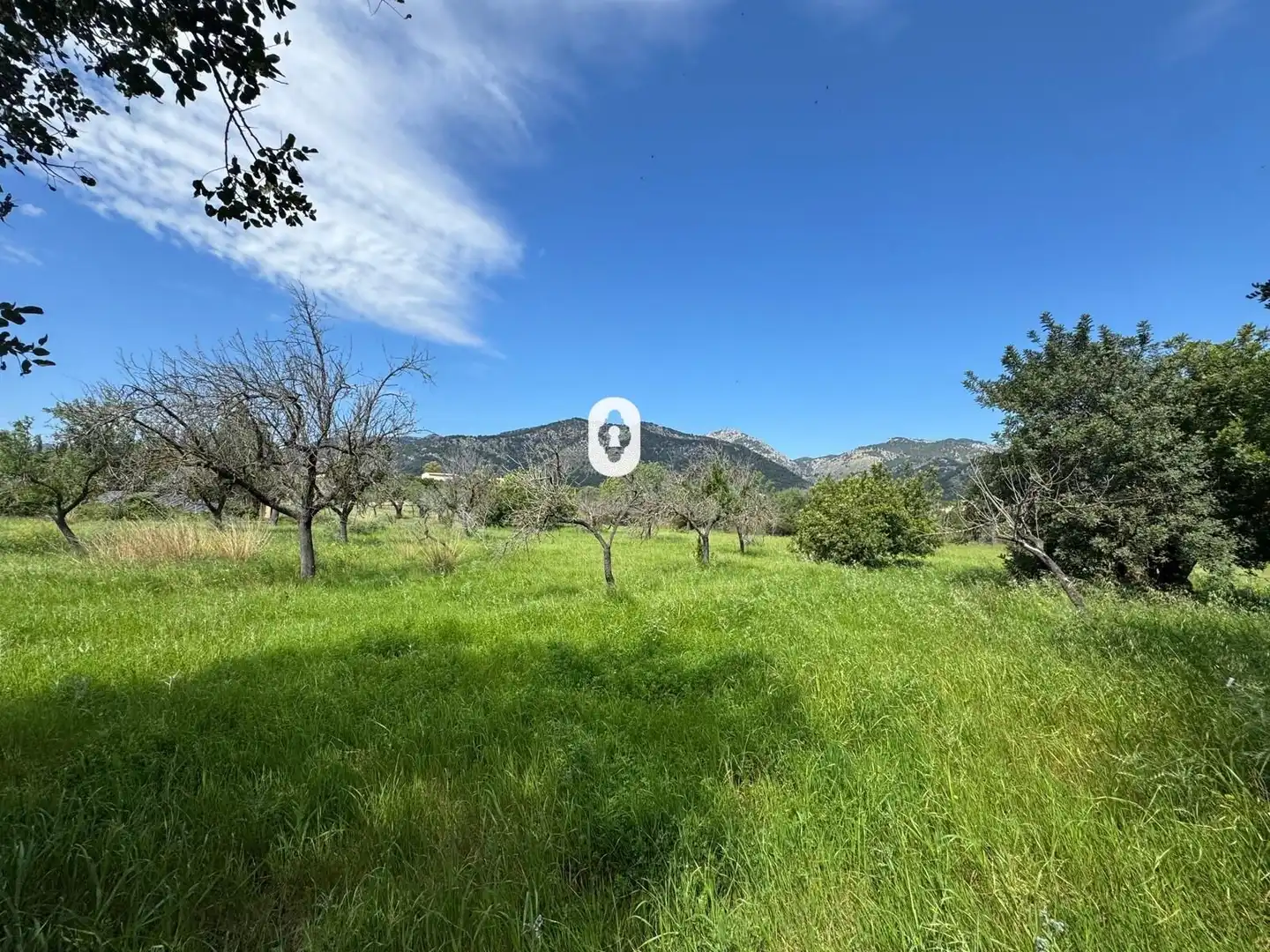 Residential for sale in Polígono 15 Parcela 49 SON MORRO. SELVA (ILLES BA, Selva