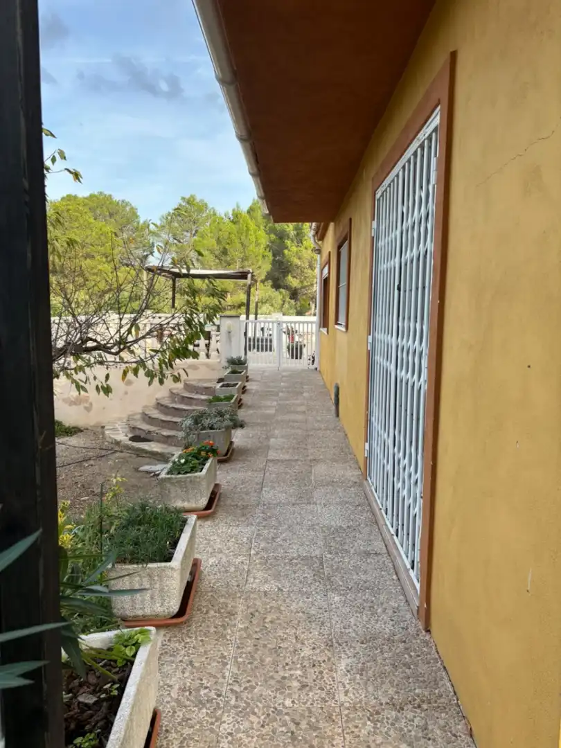 Jardí de Casa o xalet en venda en Planes, Alicante