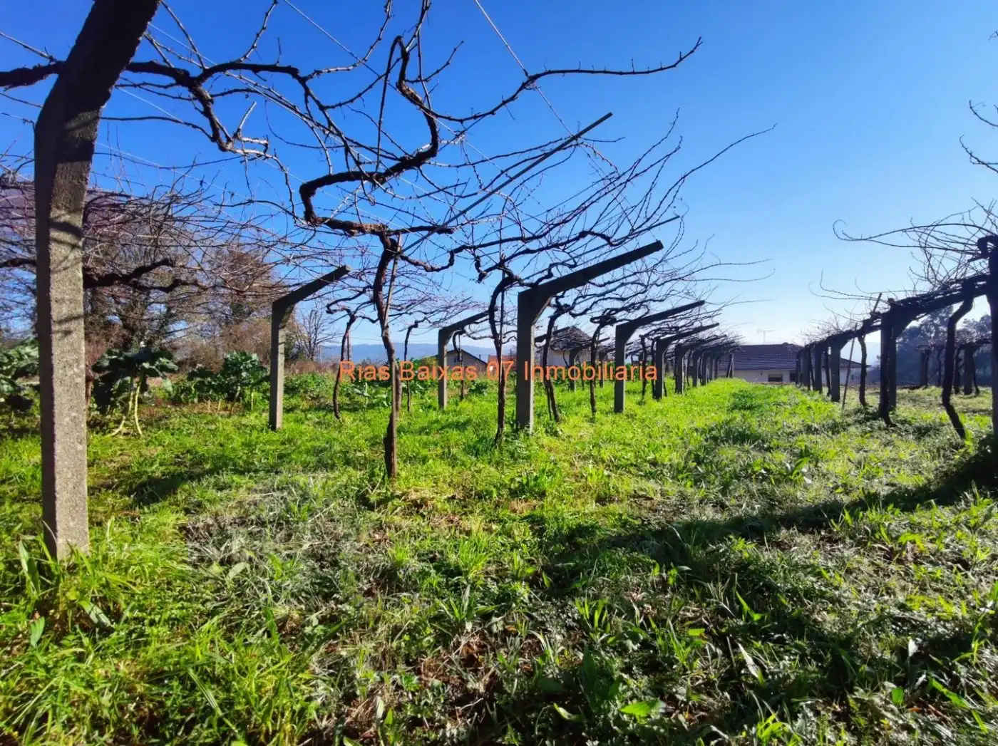 Terrenys i solars en venda a Mos, imagen 3